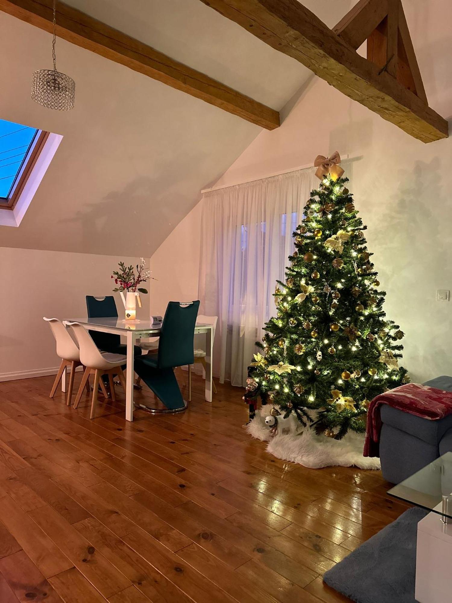 Apartamento Attic 33 Câmpulung Moldovenesc Exterior foto